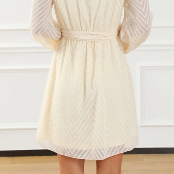 Surplice Long Sleeve Mini Dress - Picture 9 of 15